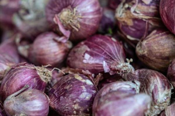 Bawang Merah Sumbang Deflasi di Bulan Juli