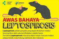 Dinkes Kota Tangerang Minta Warga Waspadai Penyakit Leptospirosis 