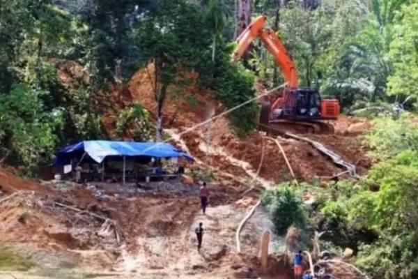 Longsor Tambang Emas di Solok, BPBD: 15 Orang Meninggal Dunia