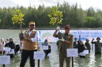 BNPB Tanam 6.000 Batang Mangrove di Aceh