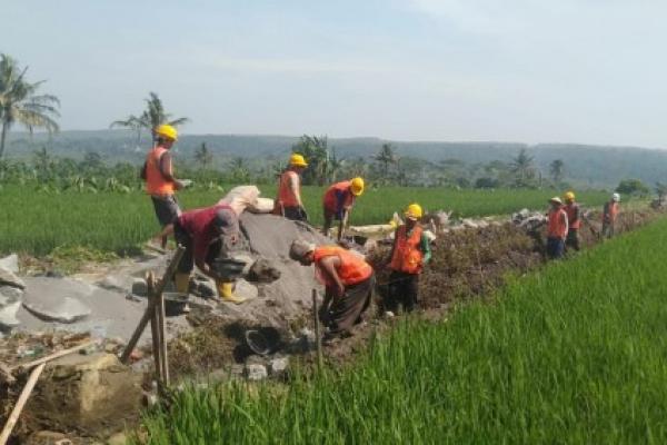 Dukung Asta Cita Prabowo, Padat Karya Irigasi Kementerian PU Jangkau 12.000 Lokasi