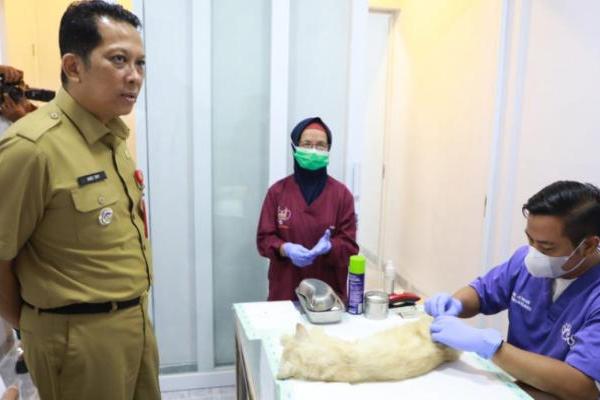 Terlengkap di Banten, Pemkab Kabupaten Tangerang Dirikan Klinik Hewan